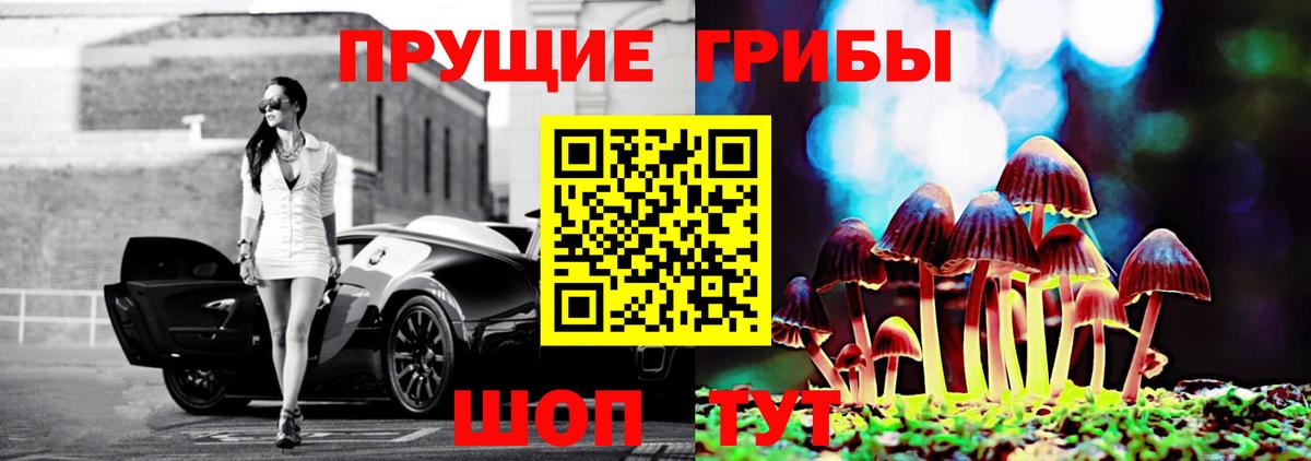 Галлюциногенные грибы MAGIC MUSHROOMS  Вход с VPN  Ефремов  Галлюциногенные грибы Magic Shrooms 